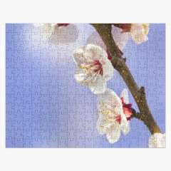 Apricot Flowers - Jigsaw Puzzle
