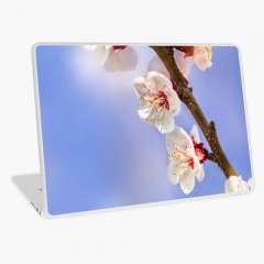 Apricot Flowers - Laptop Skin
