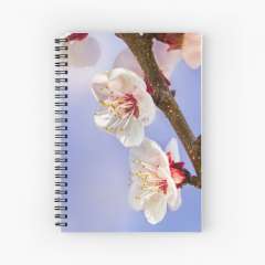 Apricot Flowers - Spiral Notebook