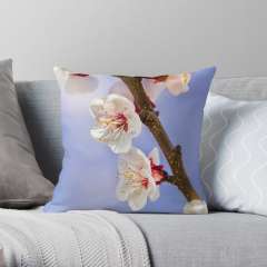 Apricot Flowers - Throw Pillow