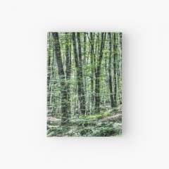 Light Between Trees - Hardcover Journal