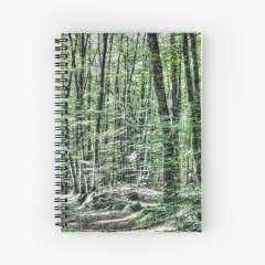 Light Between Trees - Spiral Notebook